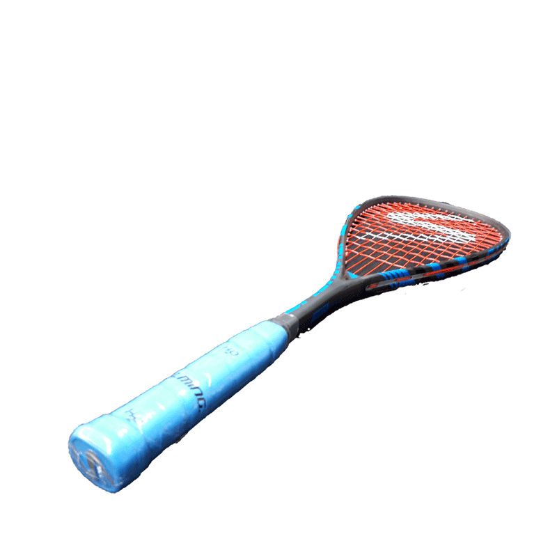 Forza Feather