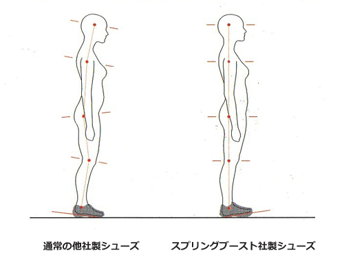 足首の背屈によって全身のバランスが調整される